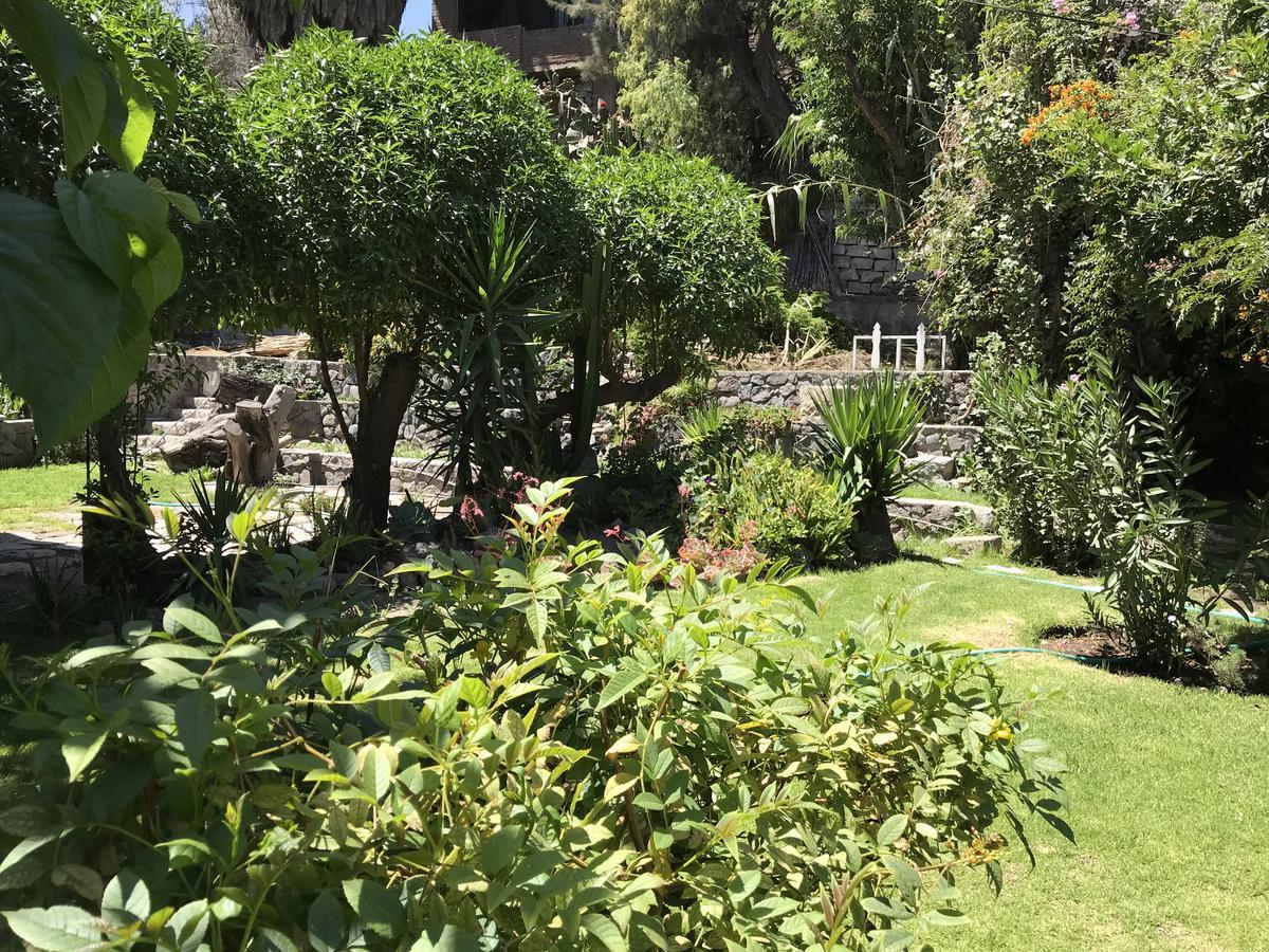 Grace Valley Hotel Arequipa Eksteriør billede